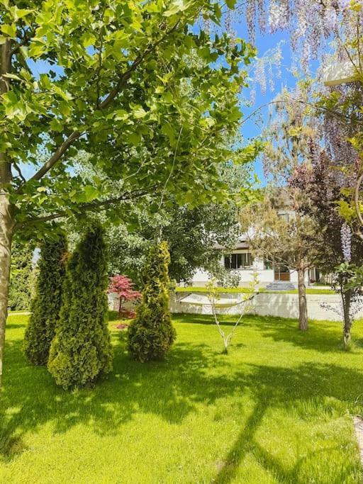 Therme - Corbeanca By The Lake Luxury Villa Экстерьер фото